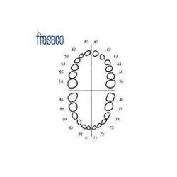 Juego completo de dientes temporales Frasaco para AK-6